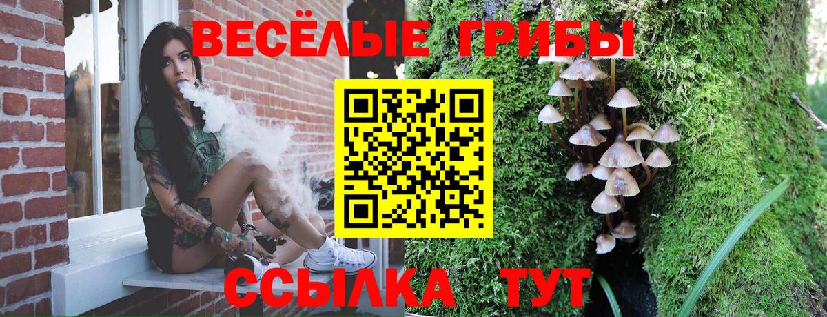 Псилоцибиновые грибы Cubensis Черняховск